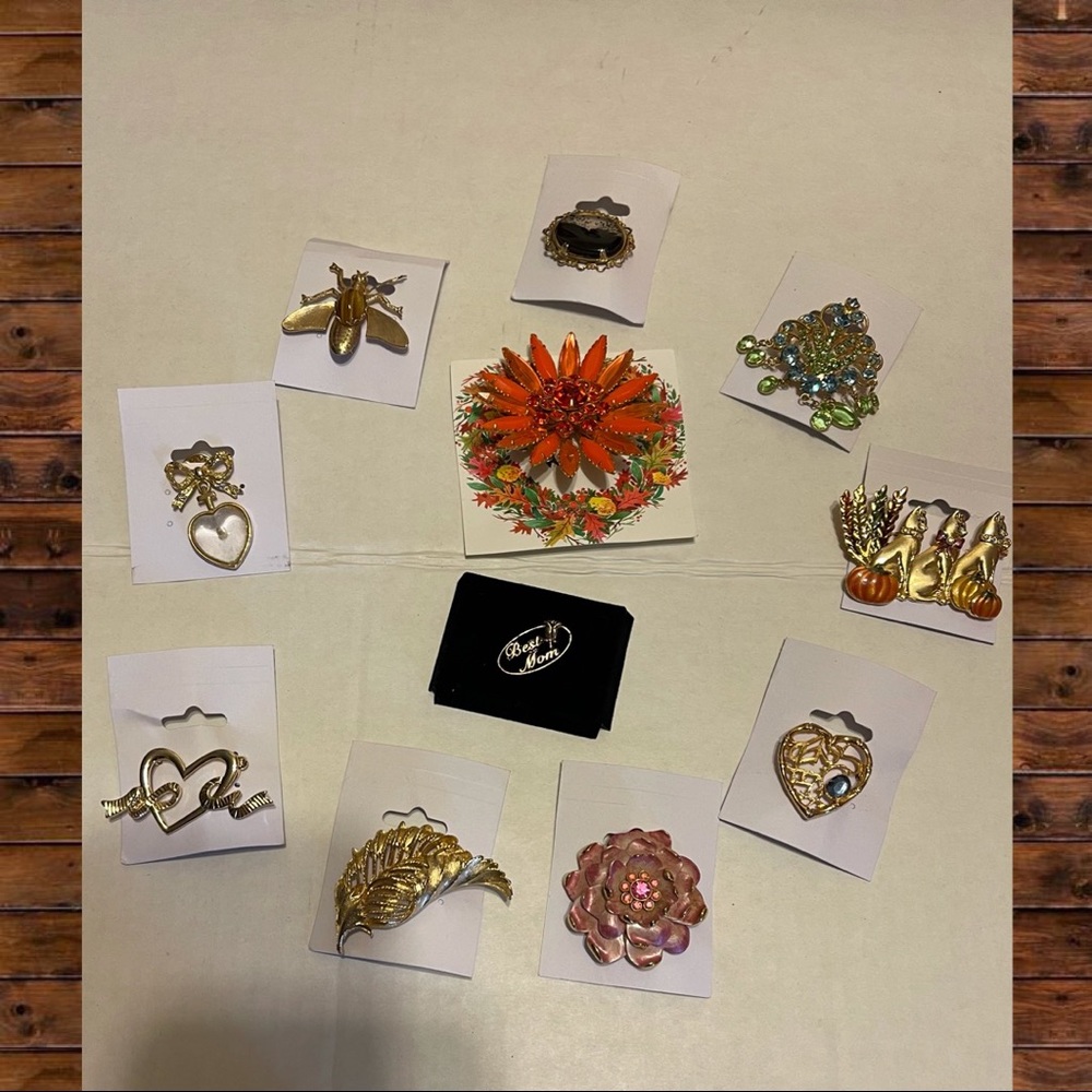 Brooch Bundle - image 1